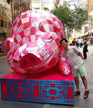 Pig.jpg
